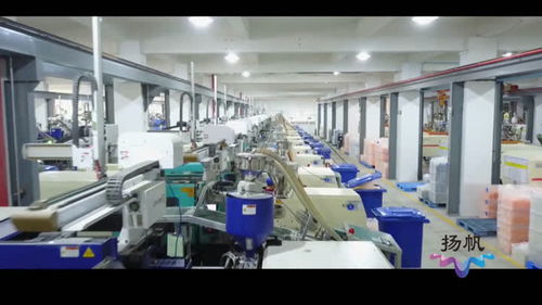 生态科技新城 组建专班精准服务，扶持企业做大做强信息技术咨询服务